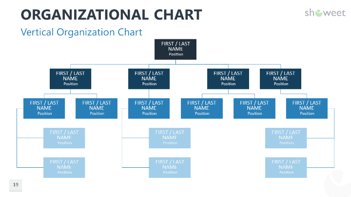 Vertical Organizational Chart Template